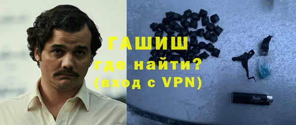 индика Новодвинск