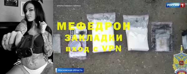 индика Новодвинск