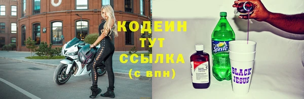 индика Новодвинск