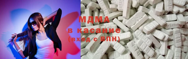 индика Новодвинск