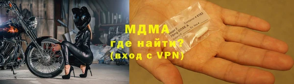 индика Новодвинск