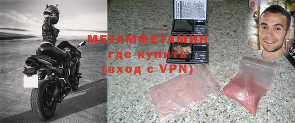 индика Новодвинск