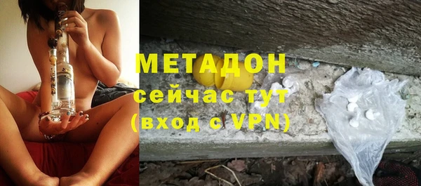 индика Новодвинск