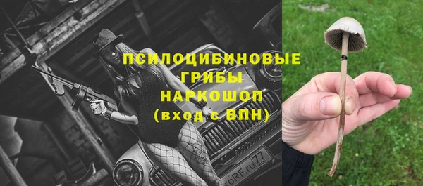 MDMA Новозыбков