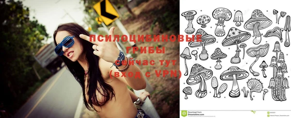 индика Новодвинск