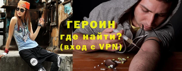 индика Новодвинск