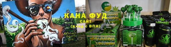 индика Новодвинск