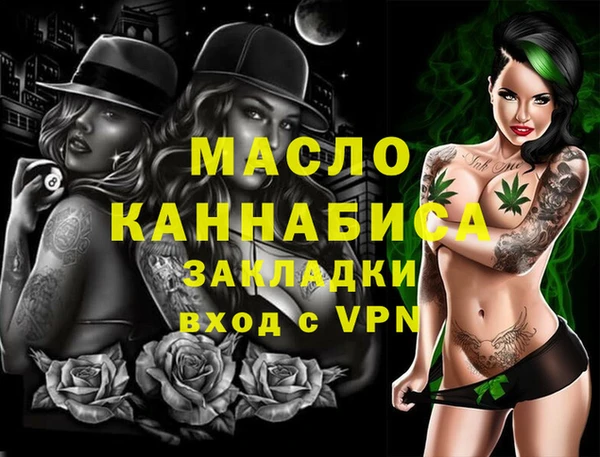 индика Новодвинск