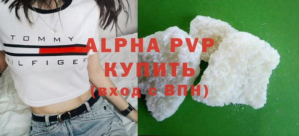 индика Новодвинск