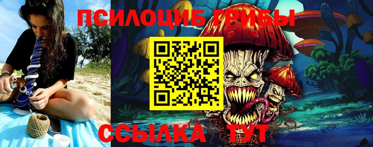 Псилоцибиновые грибы MAGIC MUSHROOMS Борзя