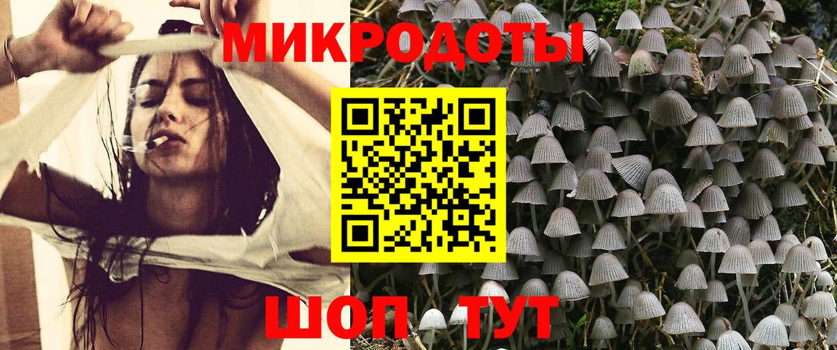 Галлюциногенные грибы Magic Shrooms  купить наркотики цена  Борзя 